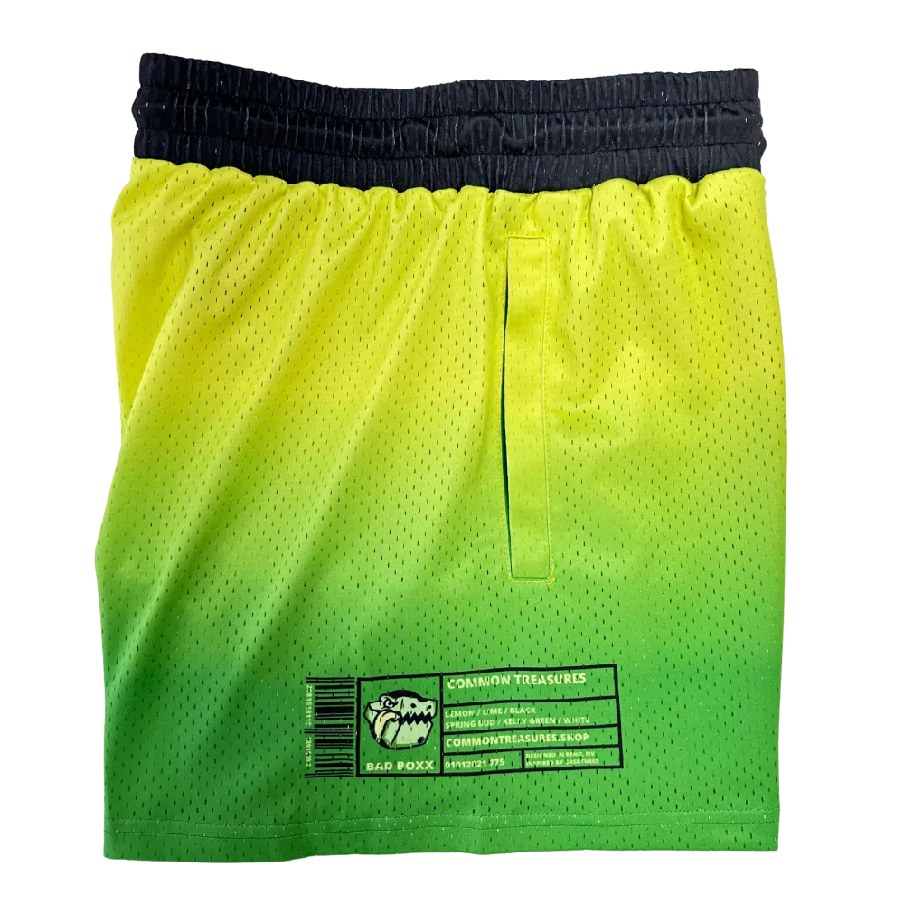 Citrus (5" Inseam) - Hoop Shorts