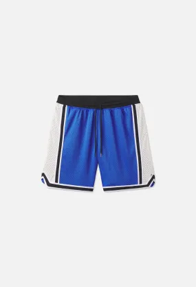 Vintage Varsity Shorts / Big Blue